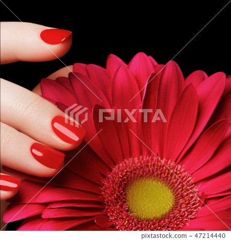 Minimal style. Minimalist Fashion photography 47214440