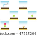 Flower illustration set 47215294