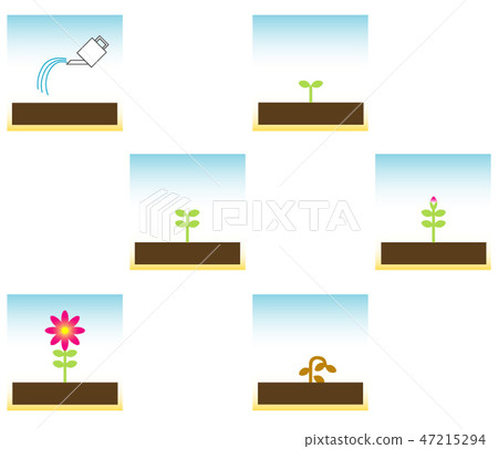 Flower illustration set 47215294