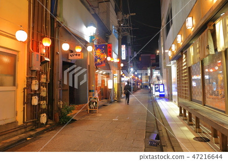 宮崎最大的娛樂區_西芝町宮崎市宮崎市西立花堂 宮崎最大的娛樂區_西芝町宮崎市宮崎市西立花堂 47216644