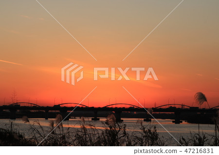 Scenery of Yodogawa riverbed & sunset at the end of the year. Osaka Prefecture Hirakata City Scenery of Yodogawa riverbed & sunset at the end of the year. Osaka Prefecture Hirakata City 47216831