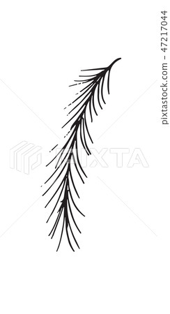 Hand-drawn sketch of a plant, isolated on white background 47217044