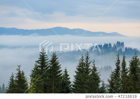 Beautiful sunrise at the foggy mountain range Beautiful sunrise at the foggy mountain range 47218819