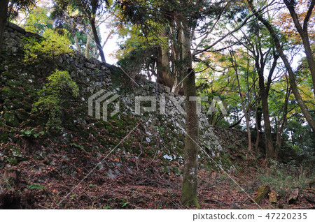 Takatori城堡廢墟 47220235