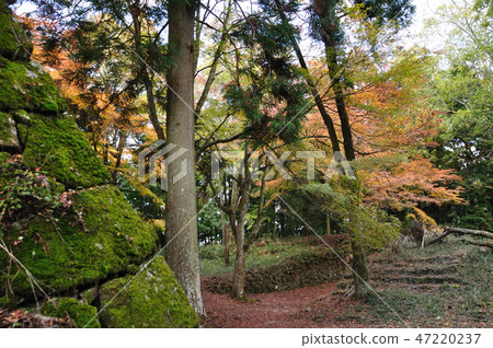 Takatori城堡廢墟 Takatori城堡廢墟 47220237