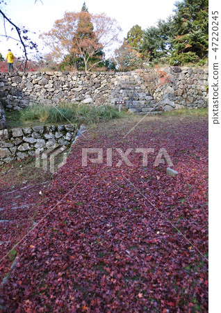 Takatori Castle Ruins Takatori Castle Ruins 47220245