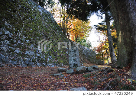 Takatori城堡廢墟 47220249