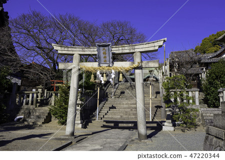 Onomichi Goji Temple Tour Kubo Kameyama Hachiman Shrine Torii Onomichi Goji Temple Tour Kubo Kameyama Hachiman Shrine Torii 47220344