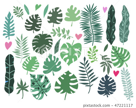 Set of tropical flowers5 Set of tropical flowers5 47221117