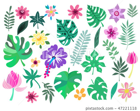 Set of tropical flowers6.eps Set of tropical flowers6.eps 47221118