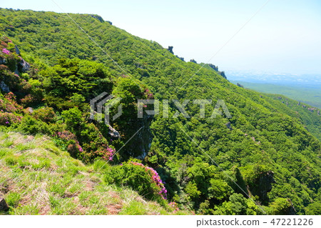 鐵芽,Hallasan,Youngsil當然 鐵芽,Hallasan,Youngsil當然 47221226
