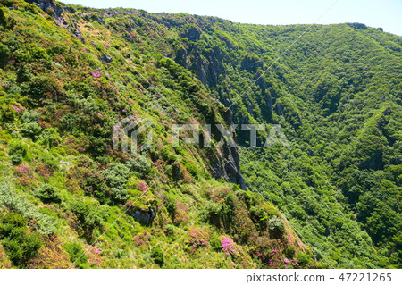 鐵芽，Hallasan，Youngsil當然 47221265