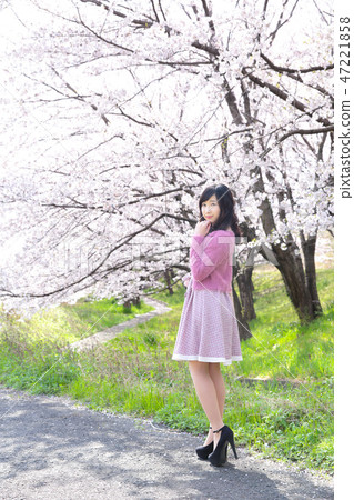 少婦和櫻花 47221858