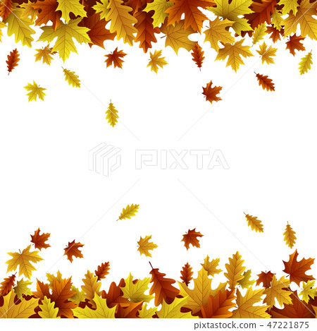 Autumn background with maple and oak leaves - Stock Illustration ...