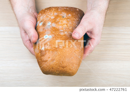 hands bad  bread table  47222761