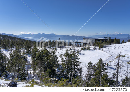 Yatsugatake Tsuboiwa雪場面 47223270