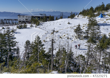 Yatsugatake Tsuboiwa雪場面 47223271