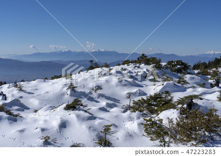 Yatsugatake Tsuboiwa雪場面 47223283