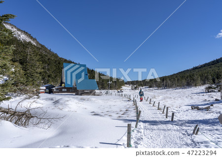 Yatsugatake Tsuboiwa雪場面 Yatsugatake Tsuboiwa雪場面 47223294
