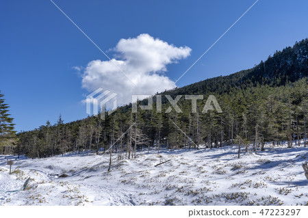 Yatsugatake Tsuboiwa雪場面 47223297
