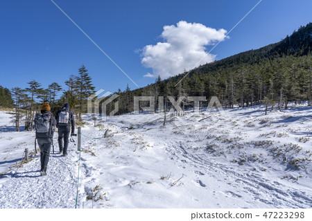 Yatsugatake Tsuboiwa雪場面 Yatsugatake Tsuboiwa雪場面 47223298