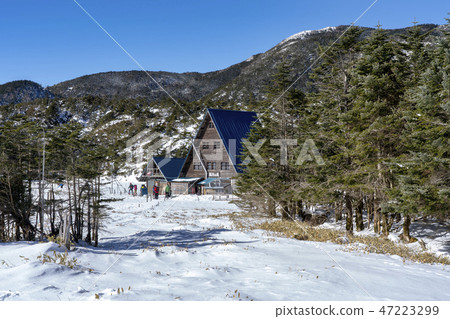 Yatsugatake Tsuboiwa雪場面 47223299