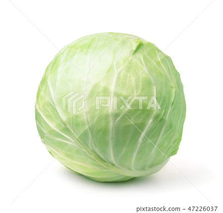 White fresh cabbage head White fresh cabbage head 47226037