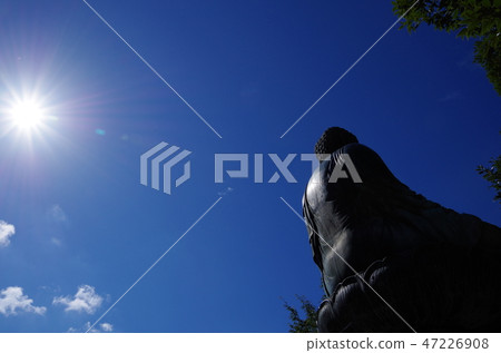Sun and Big Buddha's Back Sun and Big Buddha's Back 47226908