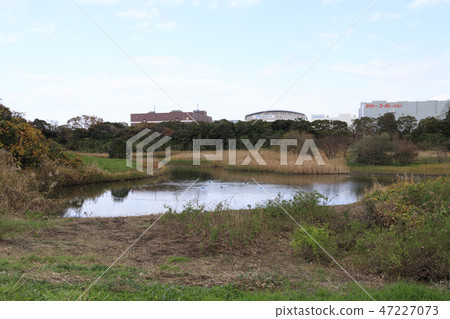 Wild bird park 47227073