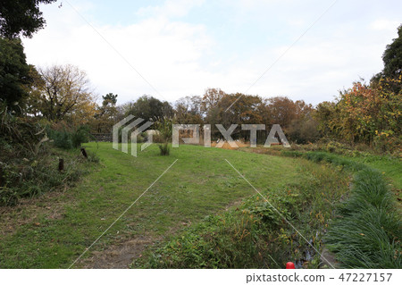 Wild bird park 47227157