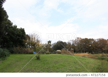 Wild bird park 47227158