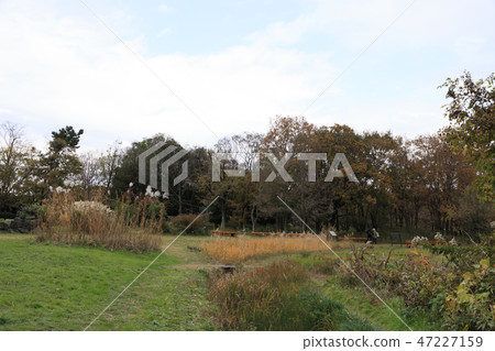 Wild bird park 47227159
