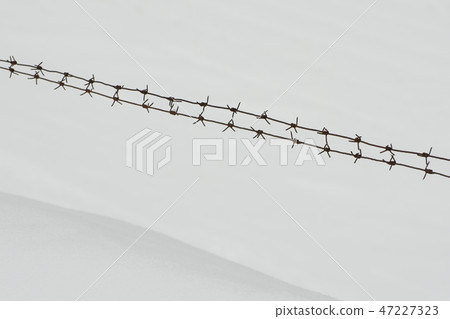 Two rows of barbed wire on a background of snow 47227323