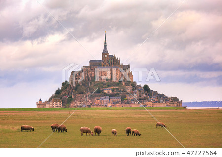 Mont Saint Michel and sheeps, Normandy, France Mont Saint Michel and sheeps, Normandy, France 47227564