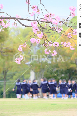 Graduation ceremony 47228999