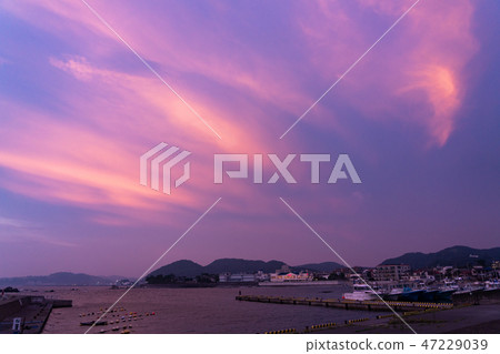 Explosion of Manase fishing port (Hanayama, Kanagawa Prefecture) Explosion of Manase fishing port (Hanayama, Kanagawa Prefecture) 47229039