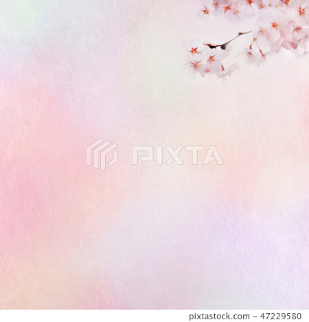 Japanese-Japanese style-Japanese pattern-background-Japanese paper-spring-cherry blossom-pink-gradation Japanese-Japanese style-Japanese pattern-background-Japanese paper-spring-cherry blossom-pink-gradation 47229580