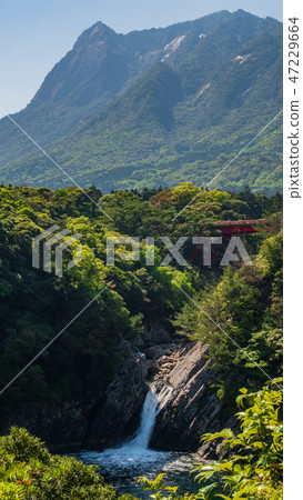 鹿兒島縣的屋久島瀑布 47229664