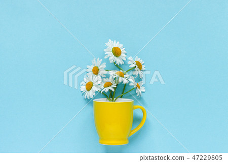 Bouquet chamomile daisies flowers in yellow mug Bouquet chamomile daisies flowers in yellow mug 47229805