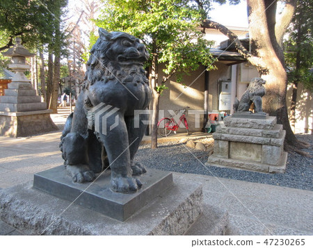 來自Hatomori Hachiman Shrine的Shiba Inu 來自Hatomori Hachiman Shrine的Shiba Inu 47230265