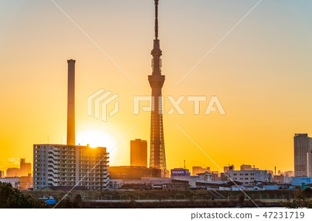 Scenery of sky tree and Mount Fuji dyed at sunset Scenery of sky tree and Mount Fuji dyed at sunset 47231719