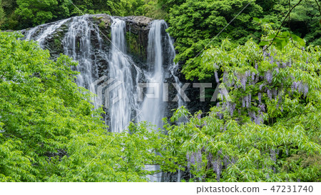 Kagoshima Prefecture Ryumon waterfall 1 Kagoshima Prefecture Ryumon waterfall 1 47231740