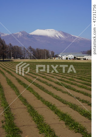 積山，第一個雪冠 47231756