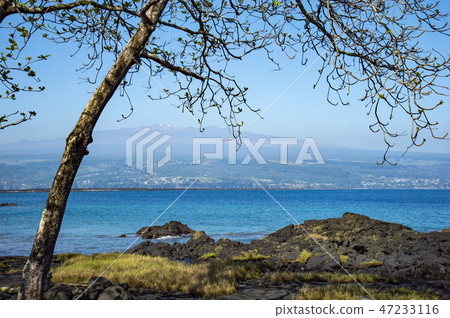 outlook, prospect, hawaii 47233116