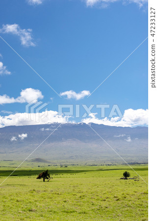 landscape, scape, scenery 47233127