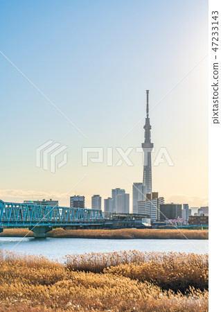 Arakawa Riverbed Cityscape from Katsushika Yotsugi Arakawa Riverbed Cityscape from Katsushika Yotsugi 47233143