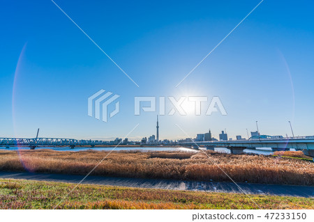 Arakawa Riverbed Cityscape from Katsushika Yotsugi 47233150