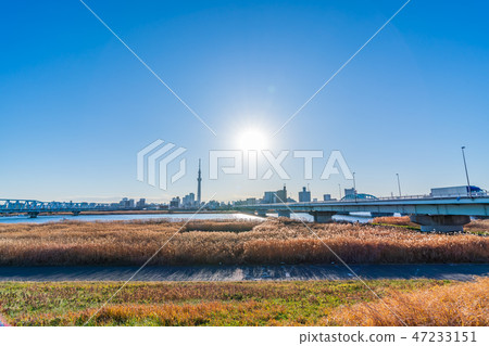 Arakawa Riverbed Cityscape from Katsushika Yotsugi 47233151