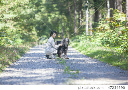 父母和孩子和狗一起玩 47234690