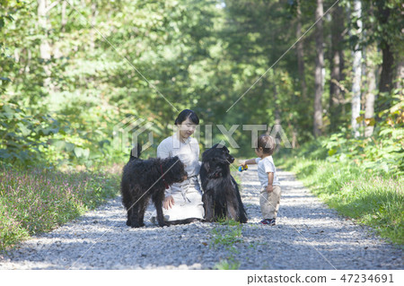 父母和孩子和狗一起玩 47234691